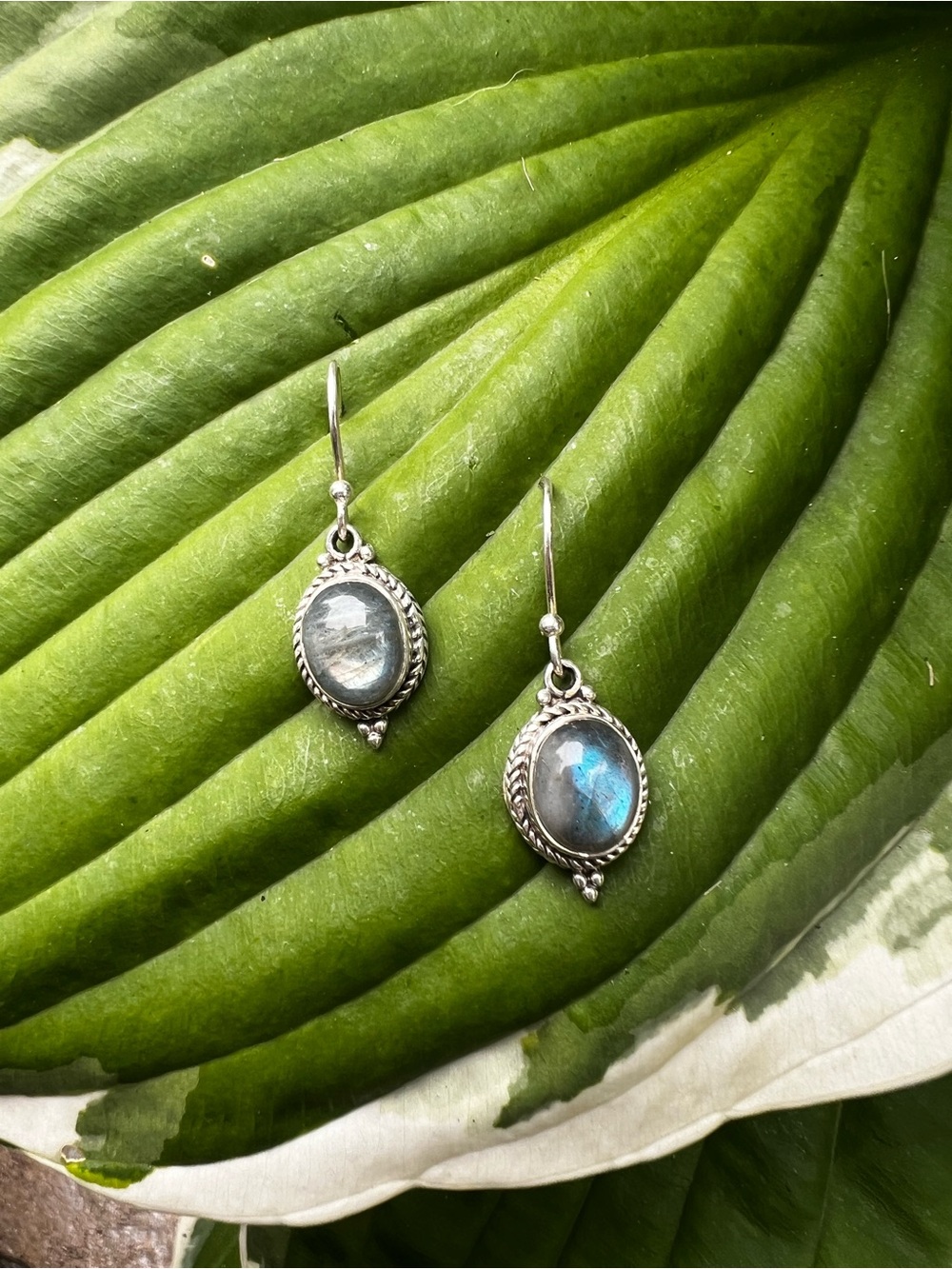 Sterling Silver (925) Moonstone Drop Dangle Earrings - Blue Flash